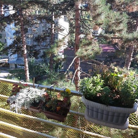 Londa Apartamento Borjomi Exterior foto