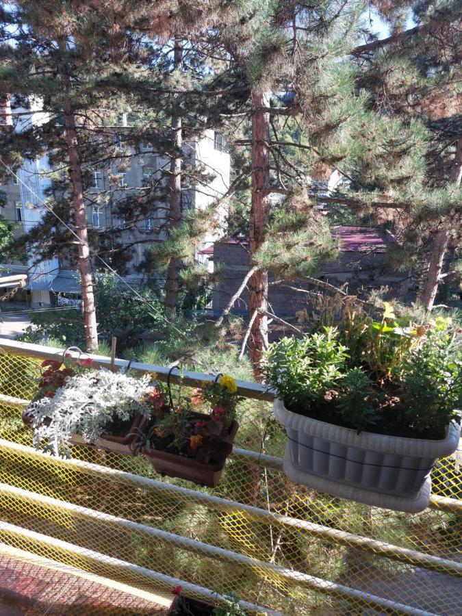 Londa Apartamento Borjomi Exterior foto